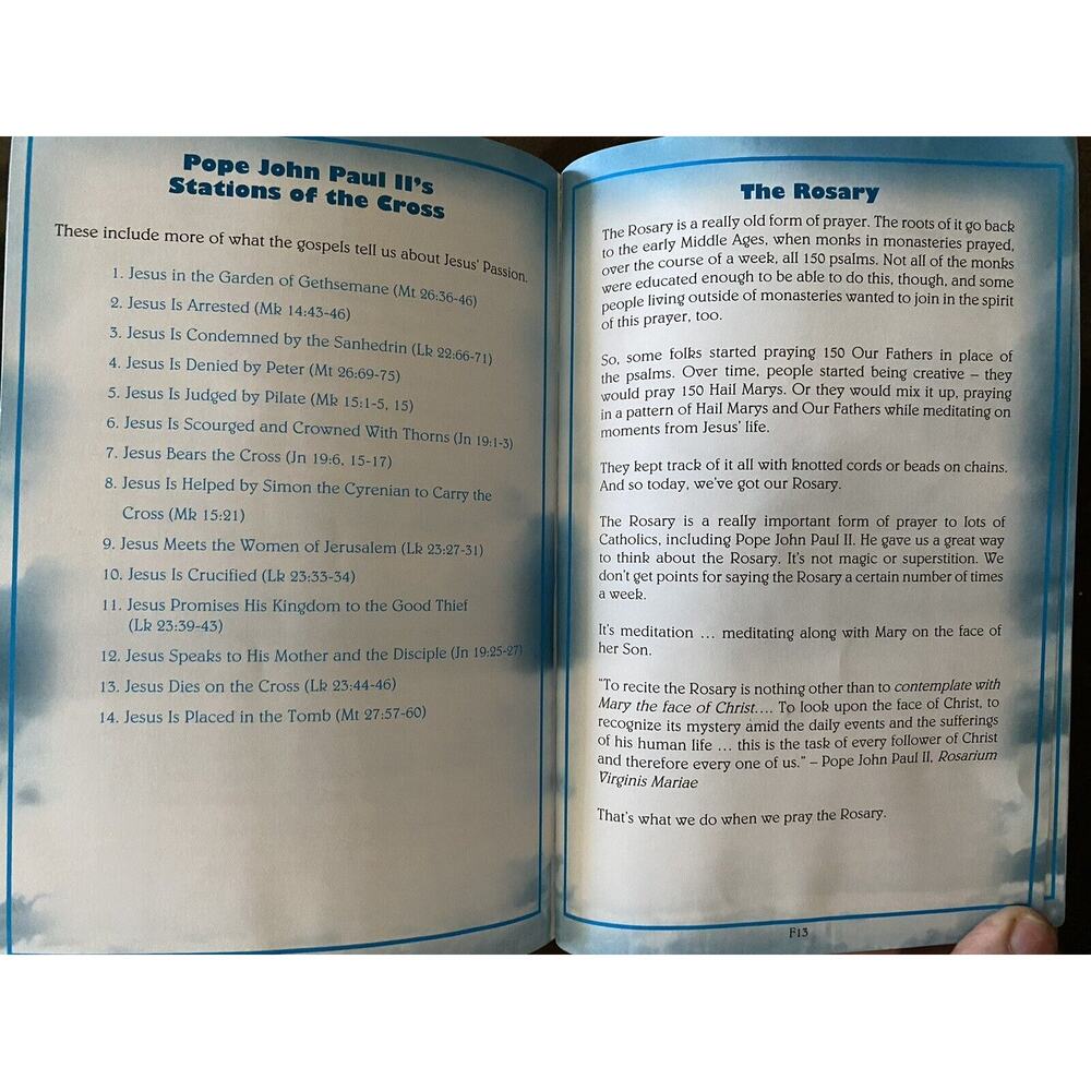The Catholic Teen Bible StudyNAB Revised Edition Illustrated Inserts - Picture 12 of 16